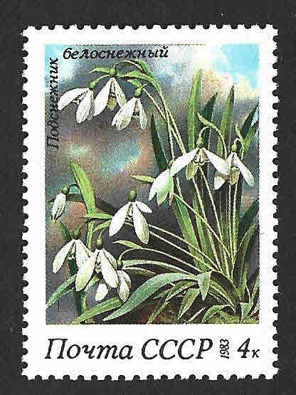 5148 - Campanillas