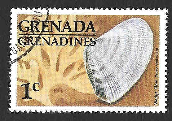 138 - Conchas Marinas