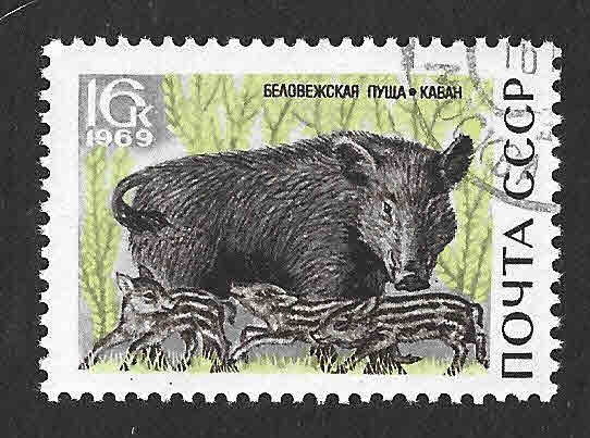 3644 - Parque Nacional de Belovezhskaya Pushcha