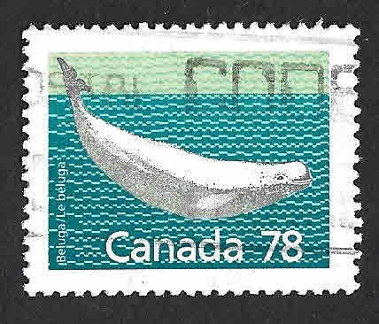 1179 - Beluga