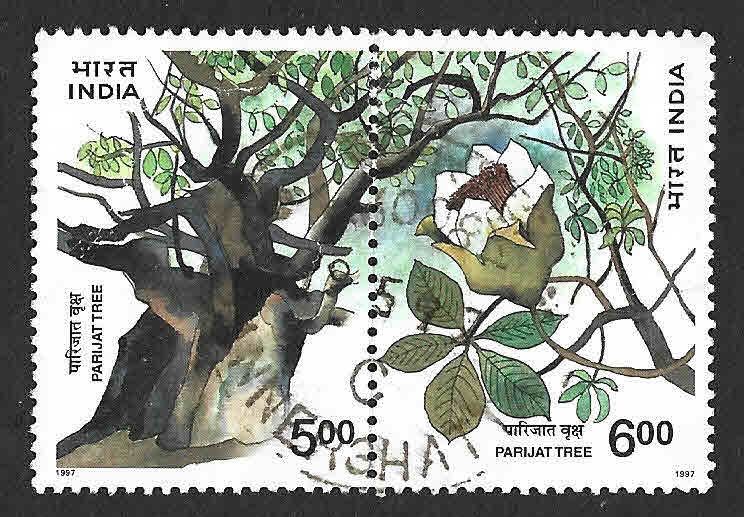 1600a - Árbol Pariyata