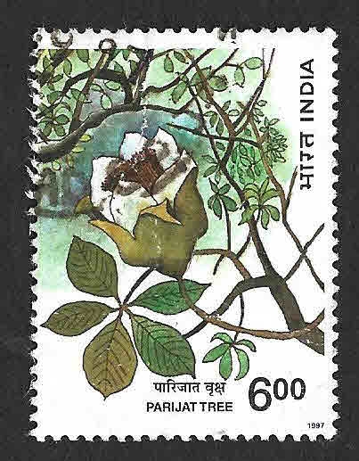 1600 - Árbol Pariyata