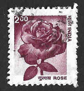 1979 - Rosa