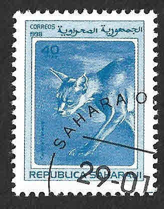 (C) - Lince (Rep. Saharaui)