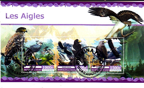 las aguilas