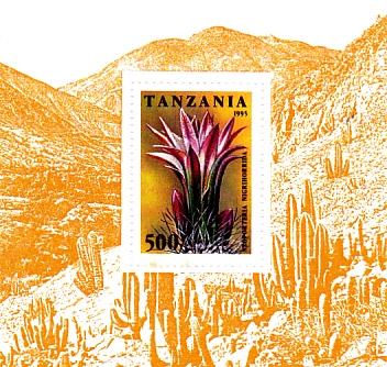 planta