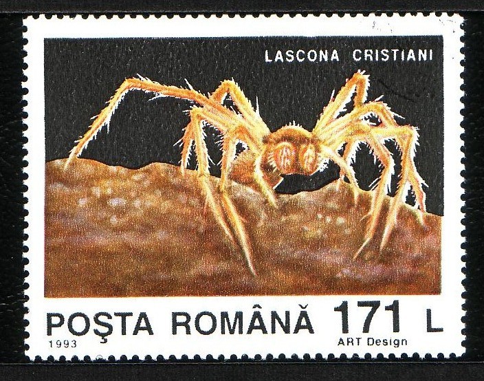 Araña