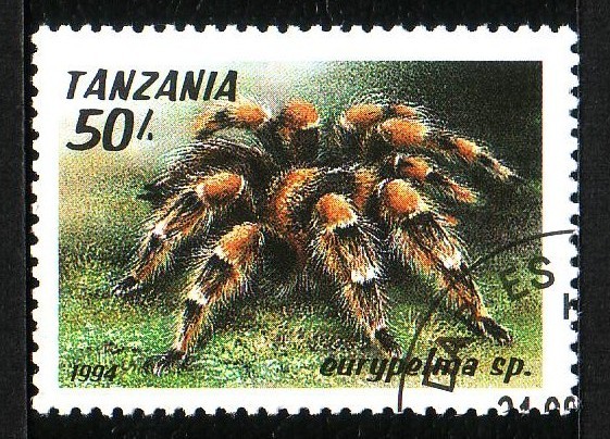 Araña