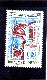 acuario de Casablanca