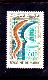 acuario de Casablanca