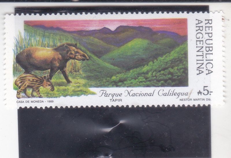PARQUE NACIONAL 