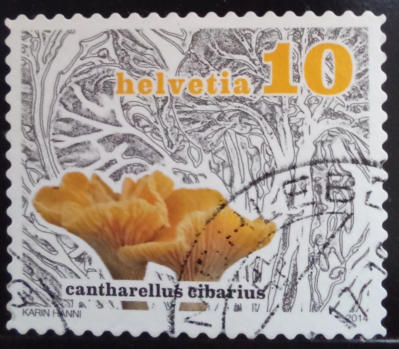 Suiza-cambio