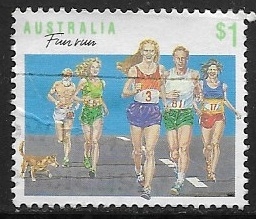 Carreras y Corredores 