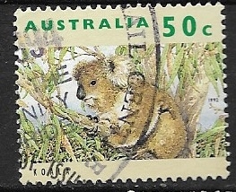 Koala