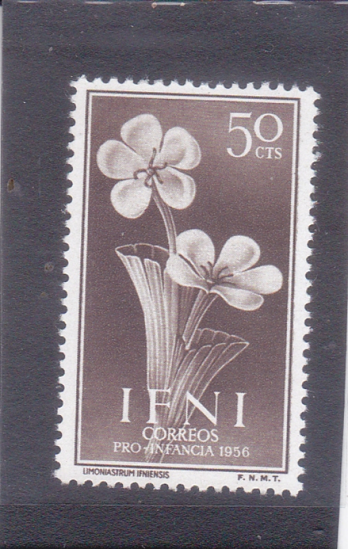 PRO-INFANCIA 1956(51)