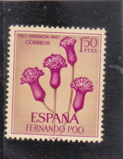 PRO-INFANCIA 1961(51)