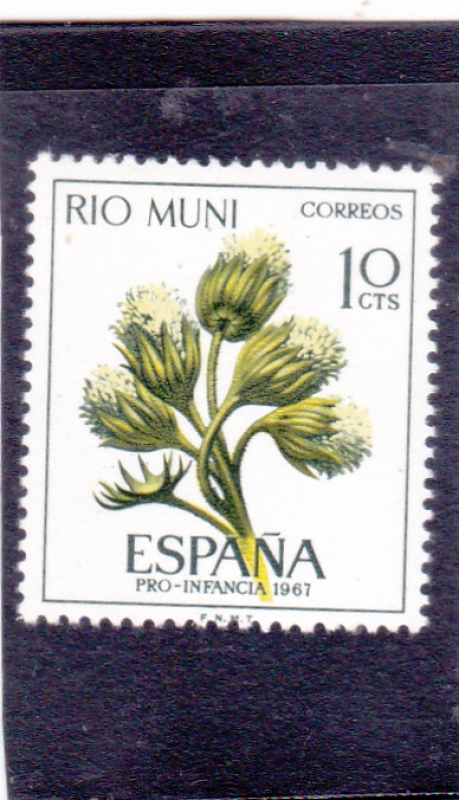PRO-INFANCIA 1967(52)
