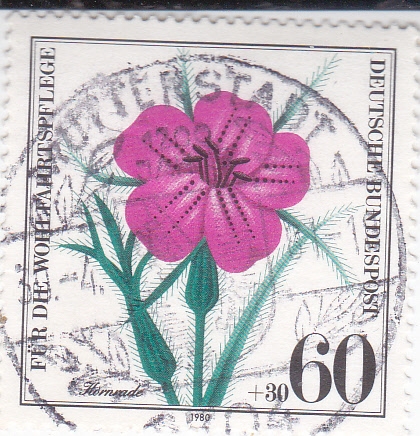 FLOR