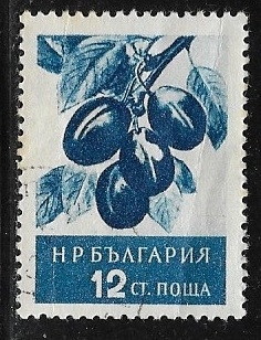 Plums (Prunus domestica)