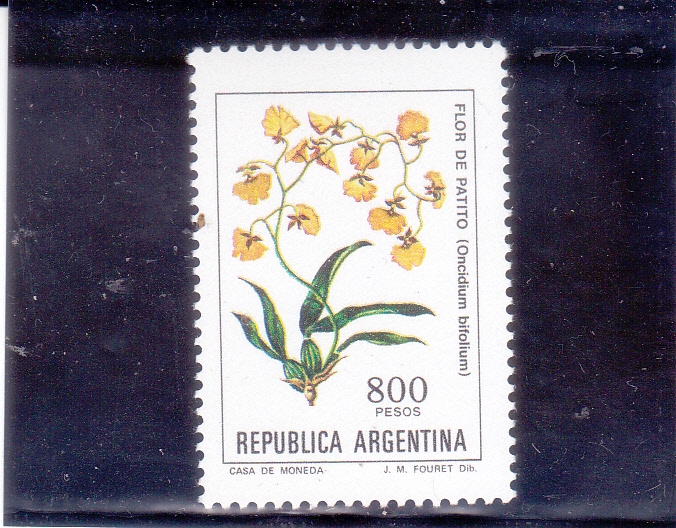 flor de patito