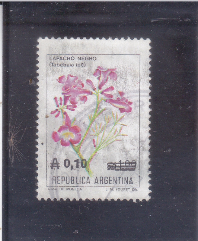 flor
