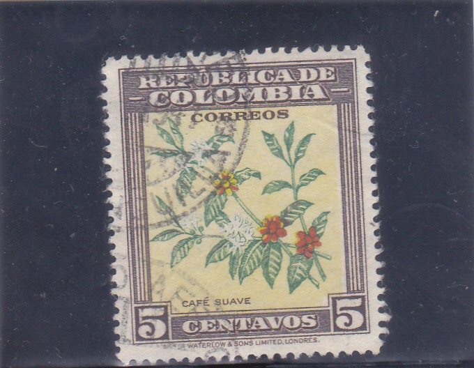 café suave