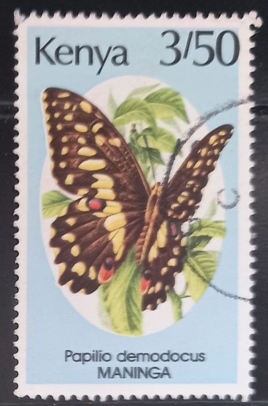 Kenya-cambio