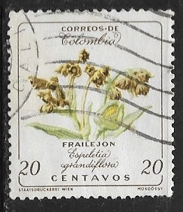 Espeletia grandiflora