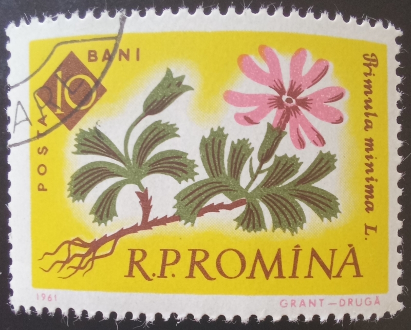 Rumanía-cambio
