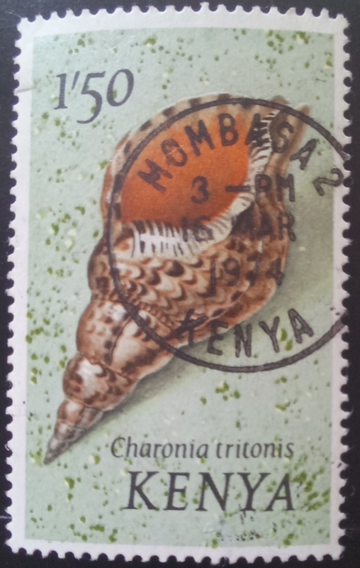 Kenya-cambio
