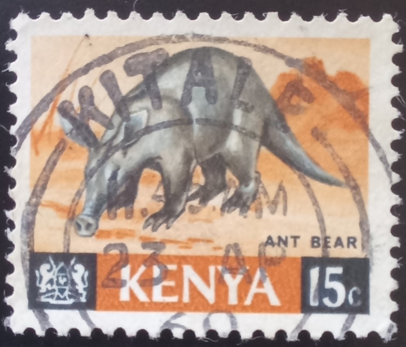 Kenya-cambio