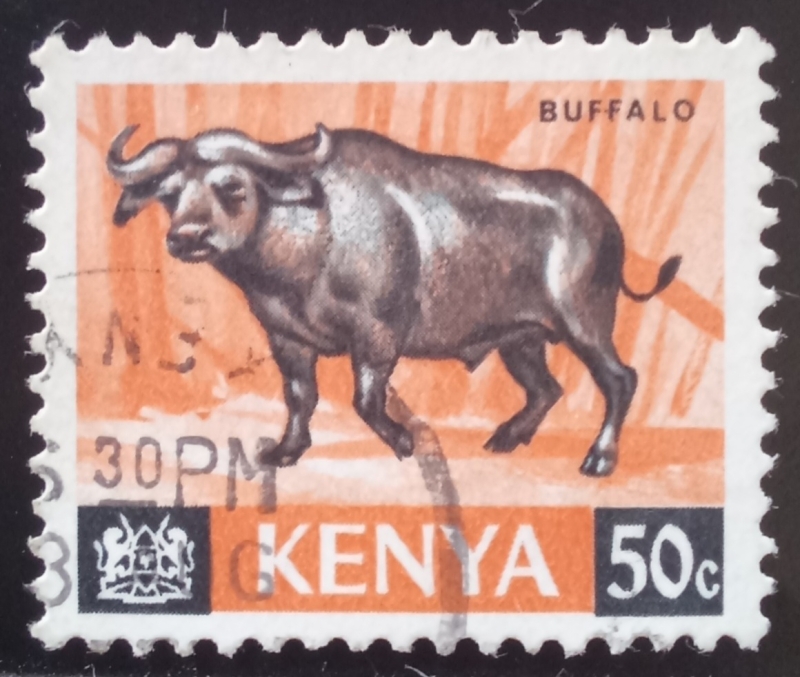 Kenya-cambio