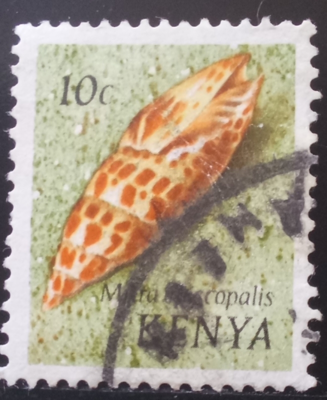 Kenya-cambio