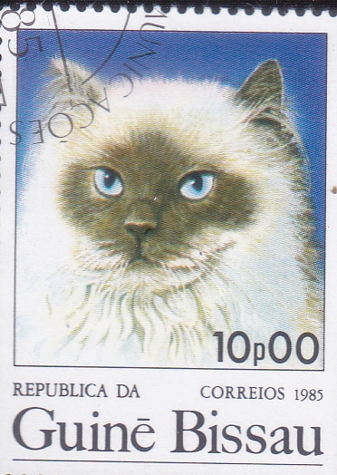 GATO