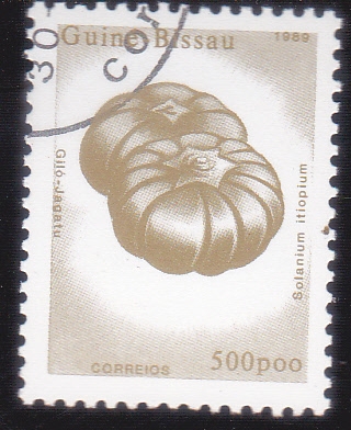 Tomate amargo (Solanum itiopium)