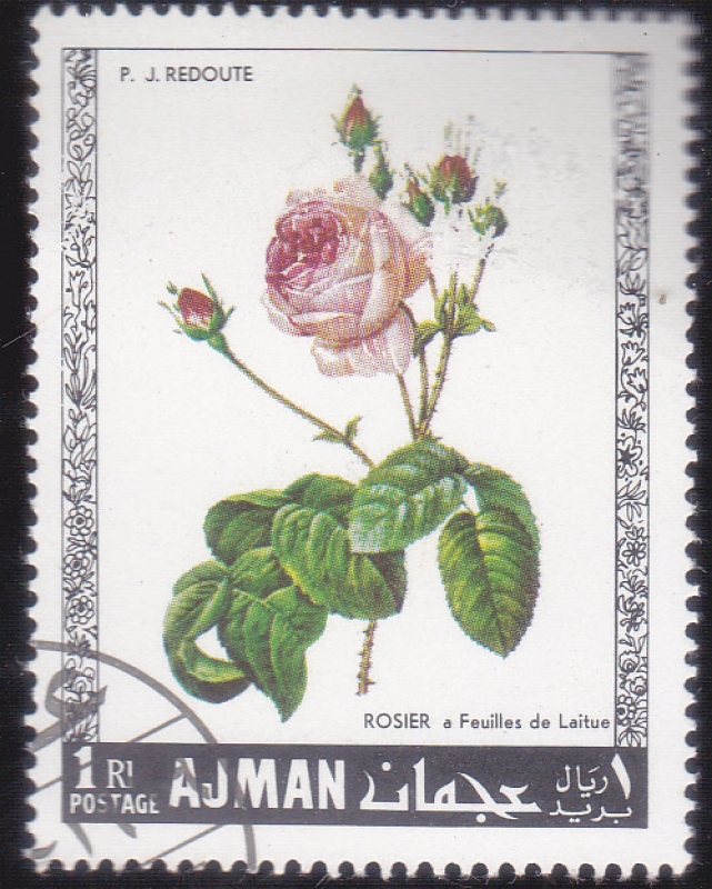 FLORES-rosa