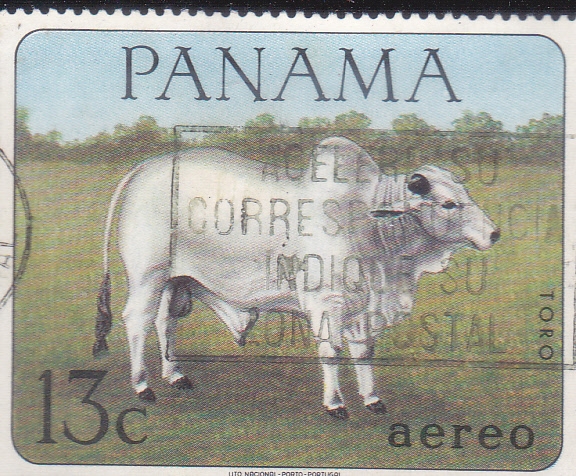 TORO