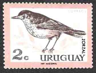 PAJAROS