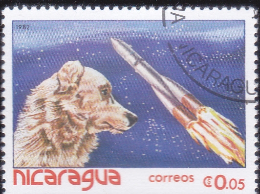 LAIKA, primera perra en orbita de la tierra