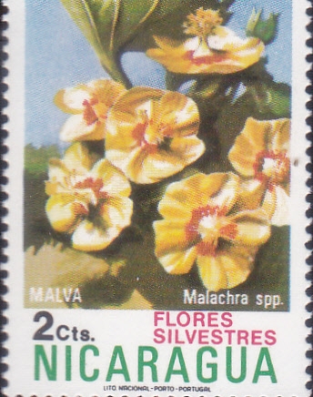 FLORES SILVESTRES
