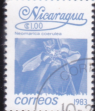 FLORES-
