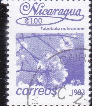 FLORES-