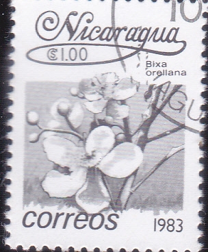 FLORES-