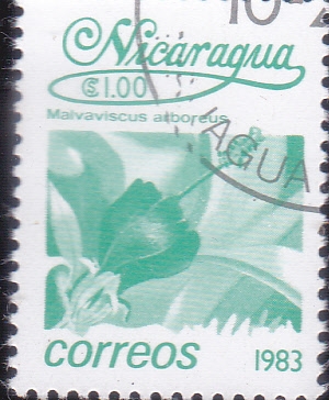 FLORES-