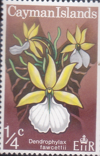 FLORES-