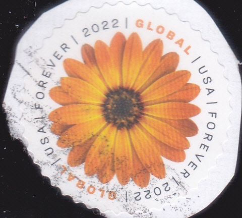 FLOR