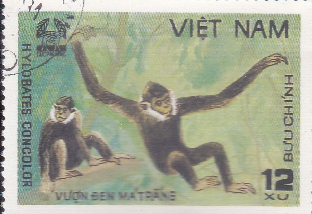 MONOS