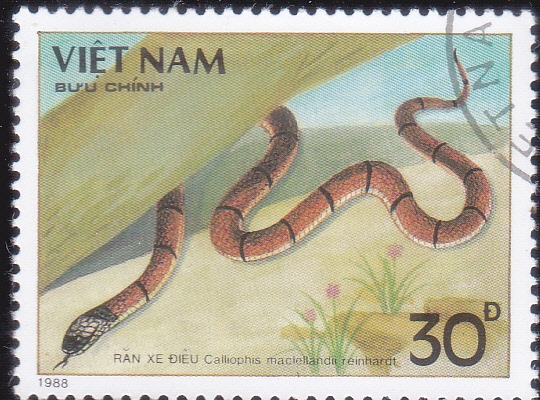 SERPIENTE