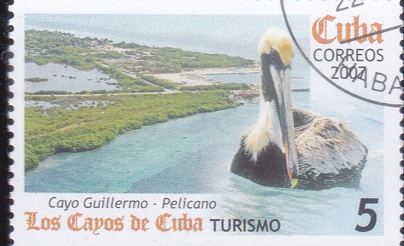 LOS CAYOS DE CUBA- CAYO GUILLERMO