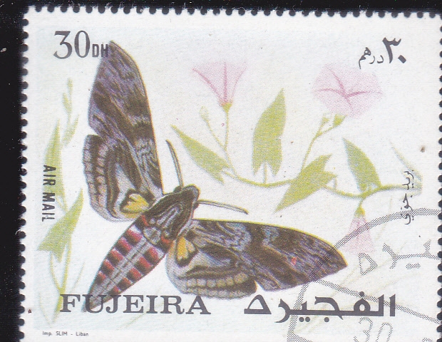 MARIPOSA